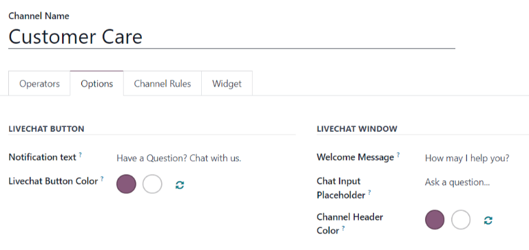 Sýn á flipann Options í stillingum Live Chat rásar.